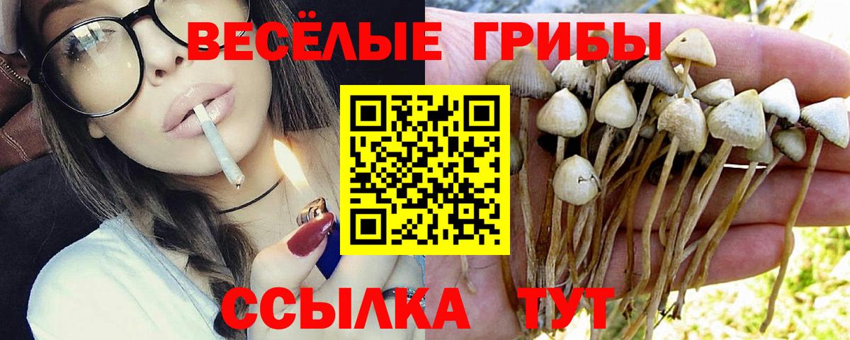 Галлюциногенные грибы мицелий Вязники