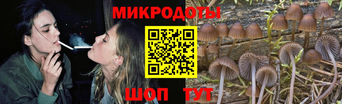 Вязники  Псилоцибиновые грибы Cubensis  Вход с VPN 