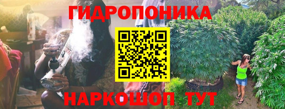Каннабис сатива Вязники
